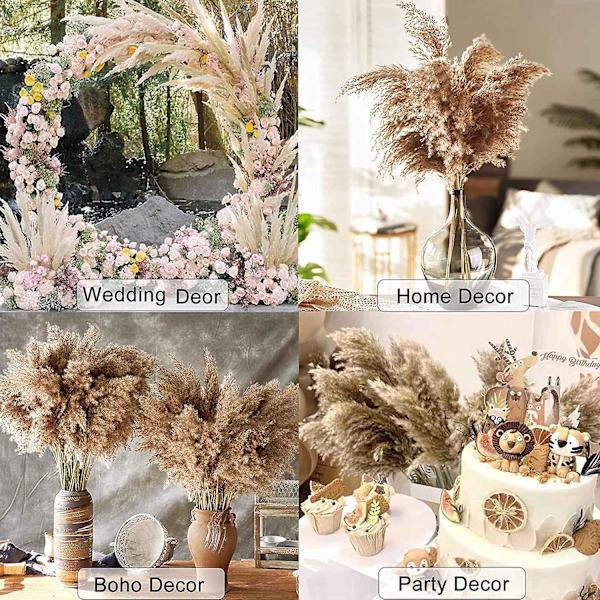 30 stjälkar torkat pampasgräs, vilt pampasgräs fluffigt pampas blommigt, 17 tum bulk pampasgräs dekor