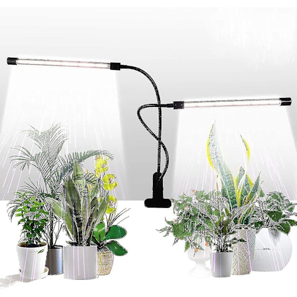 Kasvivalo, auringonvalkoinen 50w 84 Led kaksoispääpuristin kasvivalot, 4/8/12h ajastin ja 5 himmennettävää tasoa Chuai Du:lta