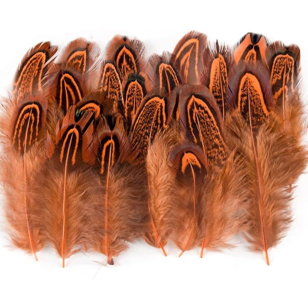 100 stk 2-3 tommer oransje fasanfjær Bulk Ulike farger Naturlig fjærhåndverk Klær Hatt Sy Dekorering