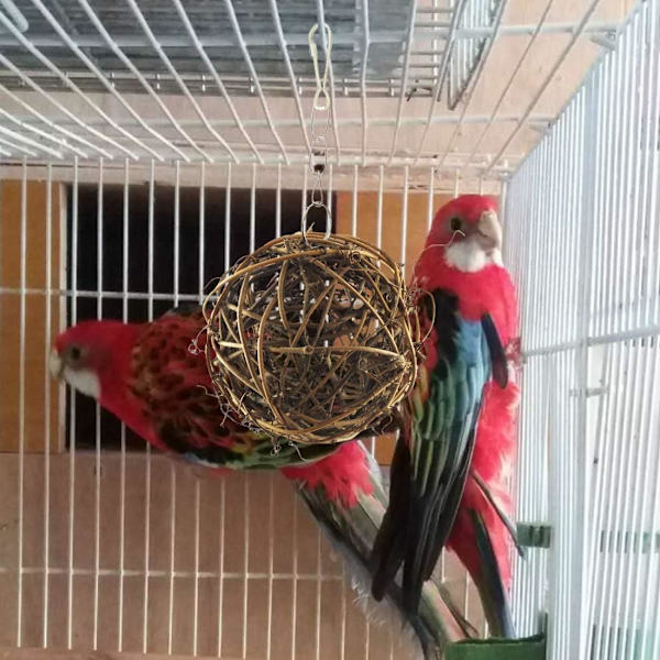 Fugle Rattan Bolde, Flettet Rattan Bolde Tyggelegetøj til Papegøje, Undulat, Kakadue, Budgerigar, Kærlighedsfugl, Myna, Konure, Ara, Fink (3 stk)