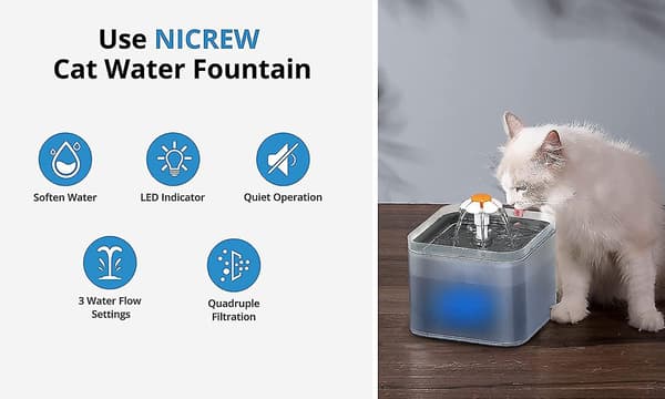 2l Katte- og hundedrikkfontene, stille kattevanndispenser med utskiftbart filter