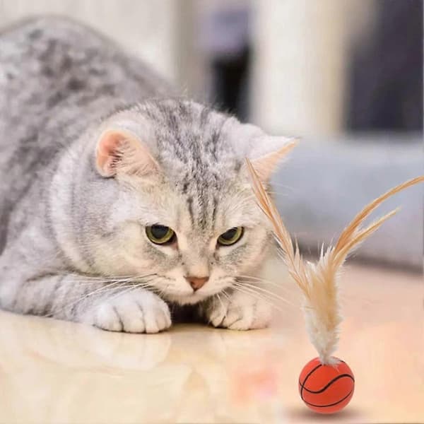 3 st interaktiv fjäderbollsleksak för katt, högelastiska husdjursbollar, husdjurstillbehör Bundle