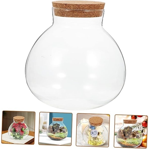 2 stk. Stoppere Beholder Låg Figur Lille med Forseglede Cm Hjem Glas Kugleformet Praktisk Planter Gennemsigtig Krukker Klar Landskabspleje Opbevaring Mikrolandskab