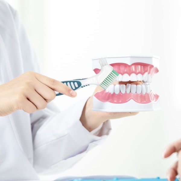 Protesbørste, protesrengjøringsbørstesett med falske tannbørste for rengjøring av holdere (blå og grønn)