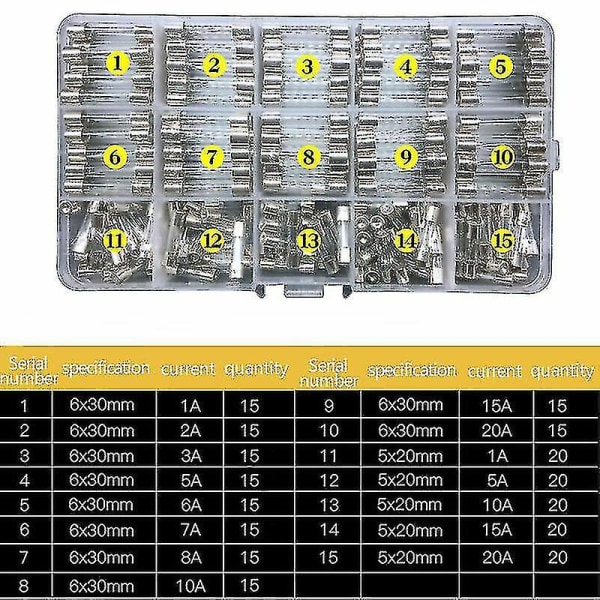 250x Assorterade Glassäkringar 5x20mm 6x30mm Box Säkringsrör Kit Snabb Blåsning Snabbverkande