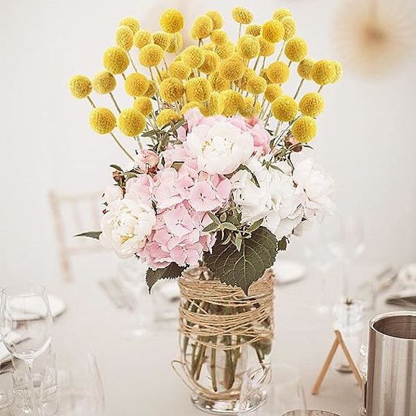 30 st Naturala Torkade Blommor Torkade Craspedia Billy Balls Blommor Billy Buttons 16’’ Gula Blommor Arrangemang Bukett för Boho Lanthus Bröllop Hem