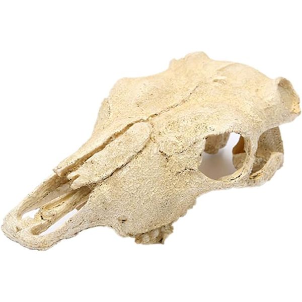 Akvarium Dyre-Skalle Dekorationer Fisk Reptil Skildpadde Tank Dekoration Ornament Kæledyr Ged