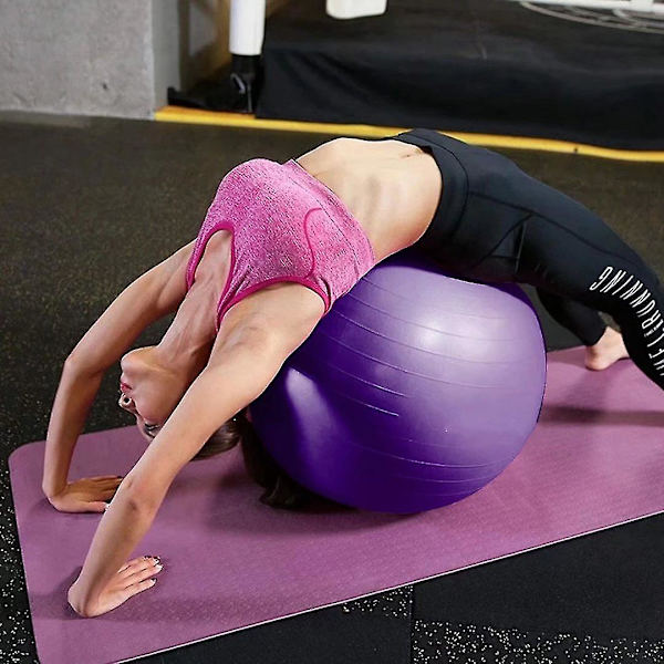 Träningsboll, Pilatesboll 55cm Graviditetsbollar Anti-Sprung Yoga Boll Liten Inkl Bollpump