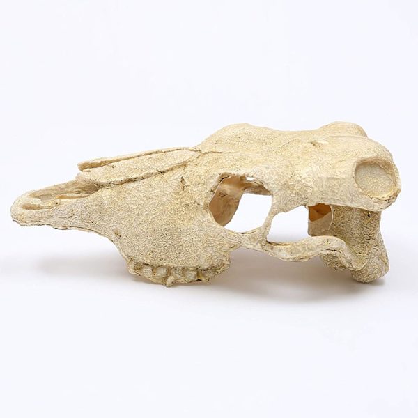 Akvarium Dyre-Skalle Dekorationer Fisk Reptil Skildpadde Tank Dekoration Ornament Kæledyr Ged
