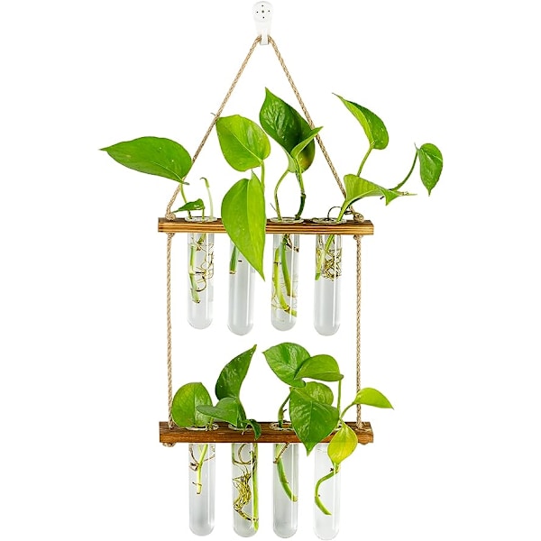 Hengende planteformeringstasjoner rør, vegg glassplanter terrarium med trestativ forplantningsstasjon vaser reagensrør for planter forplante Hy