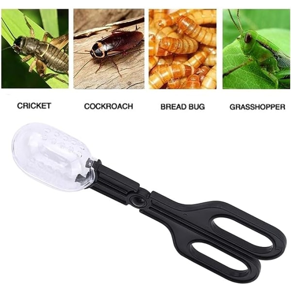 Reptilfôringstang, Øglebillefangsttang Krikettang Insektøser for Fisk Akvarium Reptiler Slanger Øgle Gecko Edderkopp Fugl