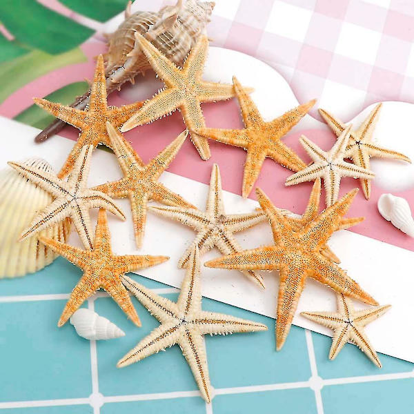 100 kpl Luonnollisia Tähtikaloja ja Merikuoria Ranta-askarteluun DIY Ranta-askarteluun 1-5cm