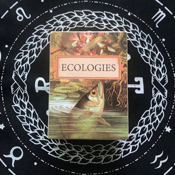 Tarot Deck Ecologies Fate Divination Tarot Card Brettspill