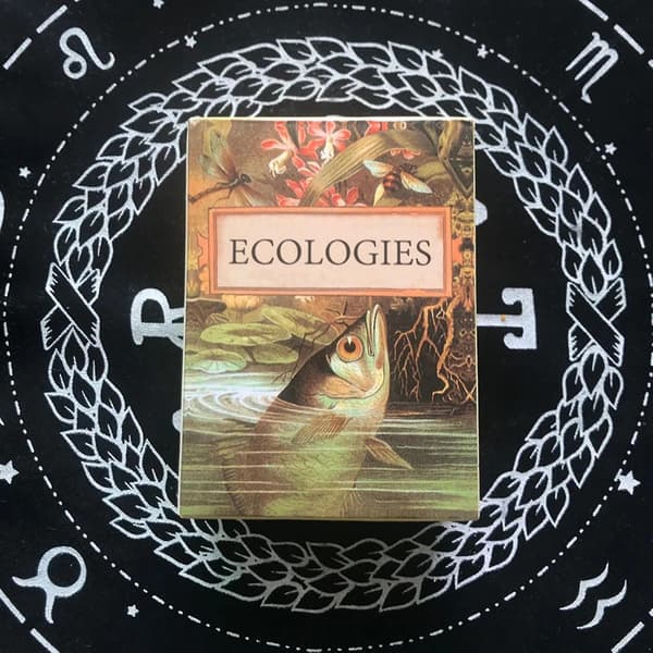 Tarot Deck Ecologies Fate Divination Tarotkort Brädspel