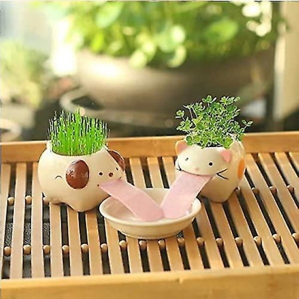 Mini självsugande keramiska blomkrukor med bricka för suckulenter kaktus blomkrukor dekoration