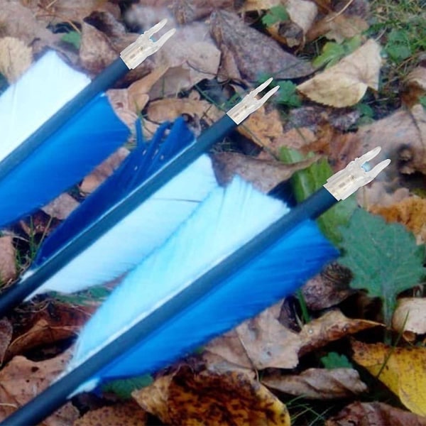 Nocturnal Lighted Nocks - Illuminocks för pilar |, Led-pilar Nock Light Arrows Nock Hunting Arrows Nocks Lighted Led Arrows Nock