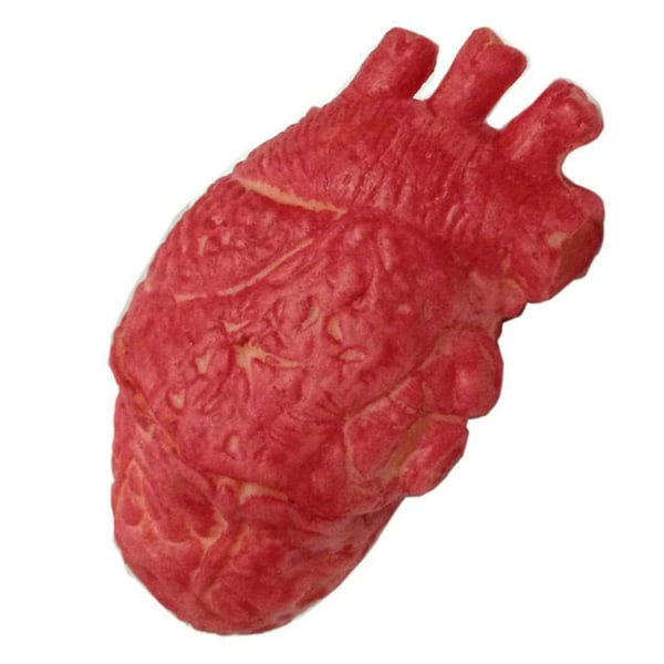 Fake Human Heart Latex Life Size Heart Bloody Horror Props Halloweeniin
