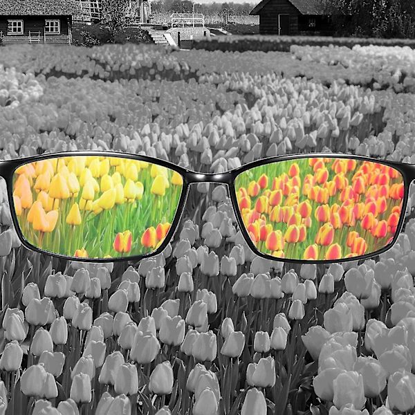 Färgblindhetskorrigerande glasögon, färgblinda glasögon som gör att människor ser färg både utomhus och inomhus