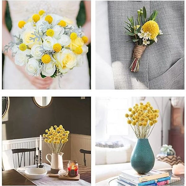 30 st Naturala Torkade Blommor Torkade Craspedia Billy Balls Blommor Billy Buttons 16’’ Gula Blommor Arrangemang Bukett för Boho Lanthus Bröllop Hem