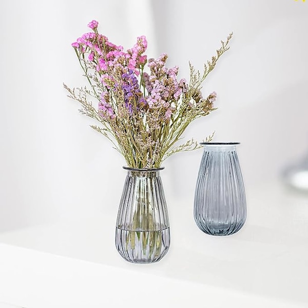 Glasvas, blomsterbehållare, mittpunktarrangemang för bröllopsfest, heminredning, set med 2 (trädgård)