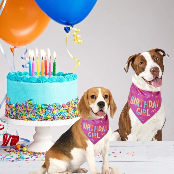 Bursdagsjente Bandana Trekantskjerf Hundefeiring trykt for bursdagsutstyr til små, mellomstore hunder (rosa)