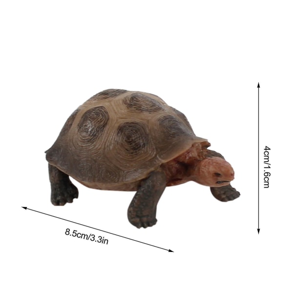 3 stk Skilpadde Dyrefigurer Leke Hjem Dekorere Førskole Utdanning