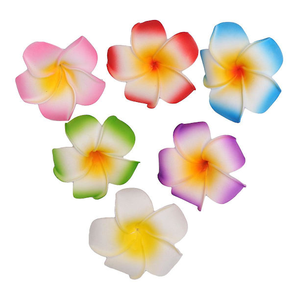 6 stk Frangipani Hårnåle Hårklips Brud Barrette Hårklips Hårtilbehør Til Kvinder Dame