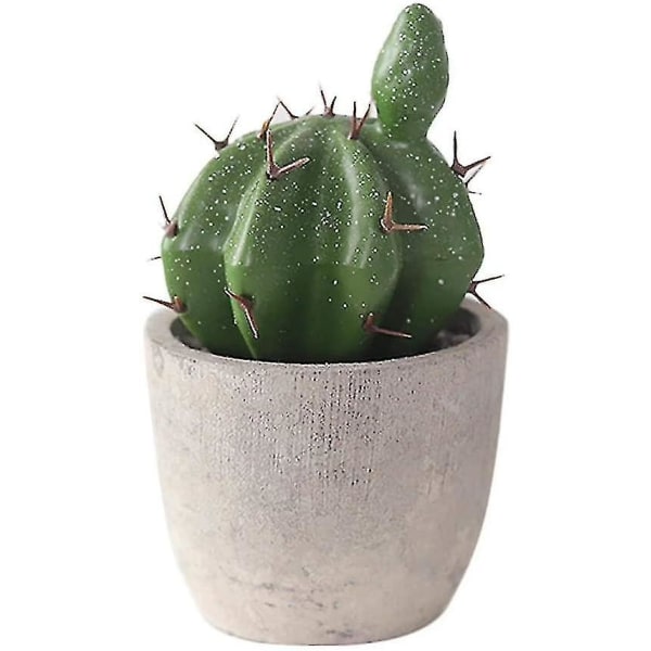 Kunstige sukkulenter Kaktusser med potter Kunstige planter Potteplanter Mini kunstig plante