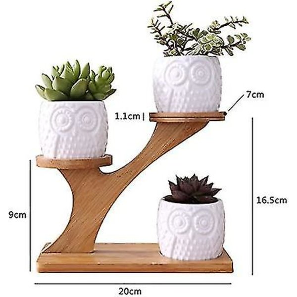 Söt uggla kruka suckulent planter blomkruka dekor för hemmakontor skrivbord