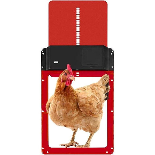 Chicken Coop ovenavaaja valoanturilla, automaattinen kanaovi, turvallinen kanakasvatus