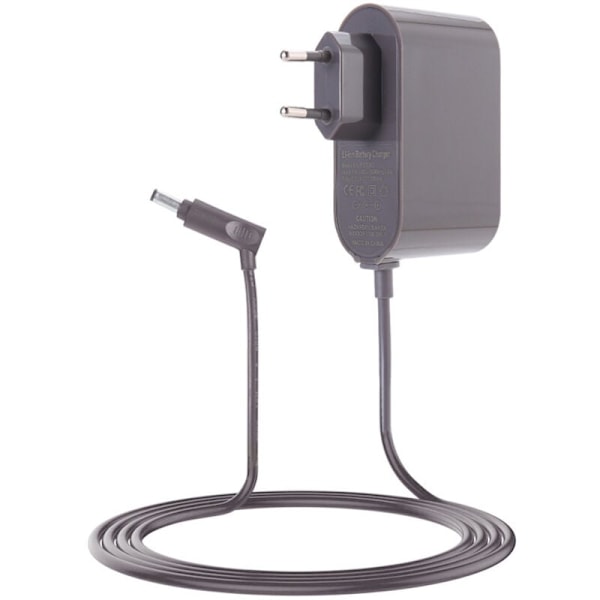 Oplader til Dyson V6 V7 V8 DC58 DC59 DC61 DC62 SV03 SV04 SV05 SV06 SV07 AC Støvsuger Adapter