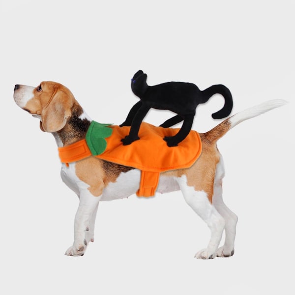 Katt Halloween Kostym Hund Halloween Kostym Husdjur Bär Pumpa Kläder med Cartoon Svart Katt Hund Varm Rockvalp Festival Outfits (Medium)