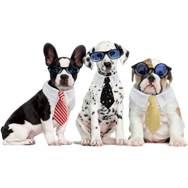 4-delt kæledyrs slips, justerbar butterfly slips til små hunde, slips til katte, slips til hunde, kam tilbehør