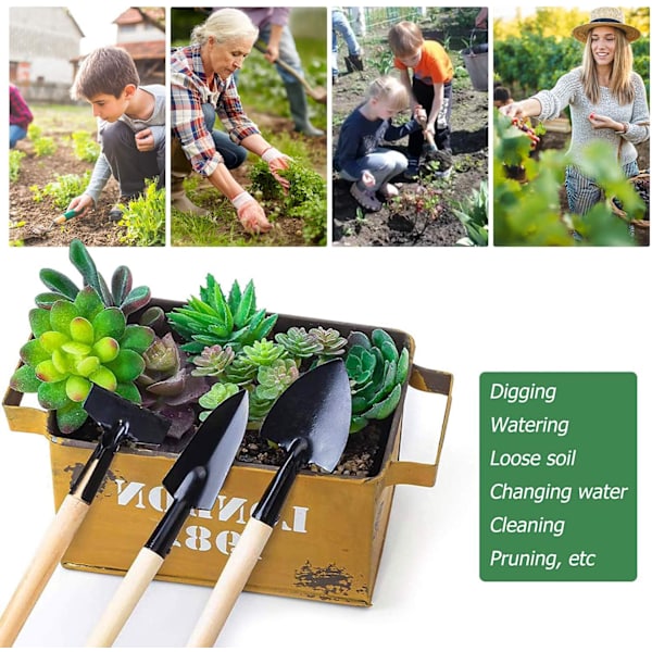Mini plante værktøjskasse, jordmålesæt med 10 bonsai-værktøjer inklusive beskærere, spirer og beskæringskit - kant