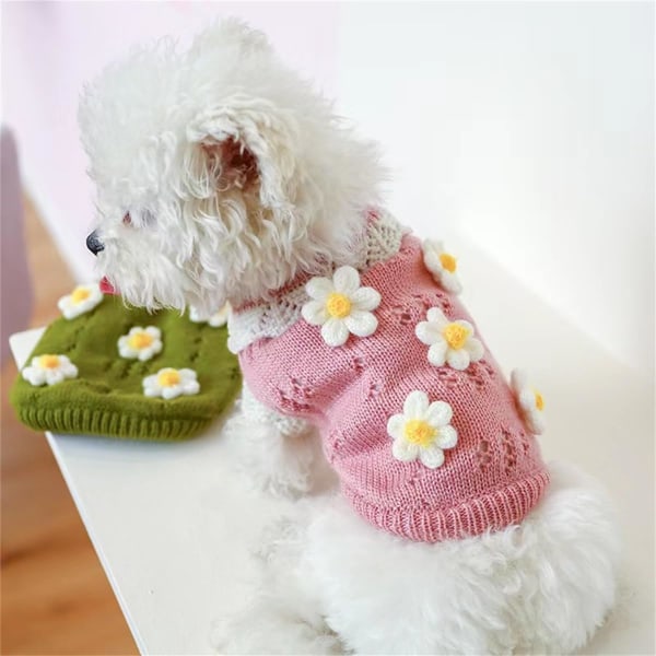 Hundegenser Hundegensere Hundejakke Hundevest Valpekjole Hundegenser Hundeklær Hundeskjorte Kattepyjamas Hundeoveraller  XL