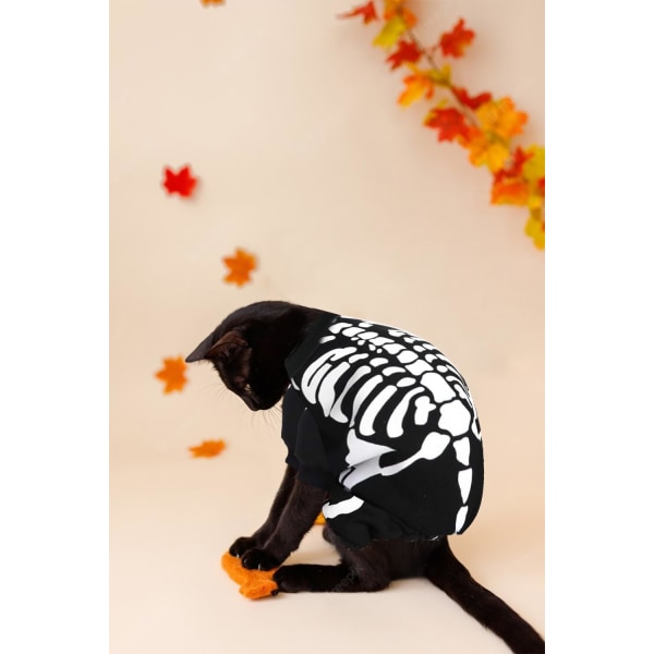 Halloween-kostume til kæledyr til hunde og katte, Halloween-skelet-hundekostumer, tøj, kæledyr, heldragt, skjorte, kostume, kraniehættetrøje, kæledyrstøj, tøj (M)