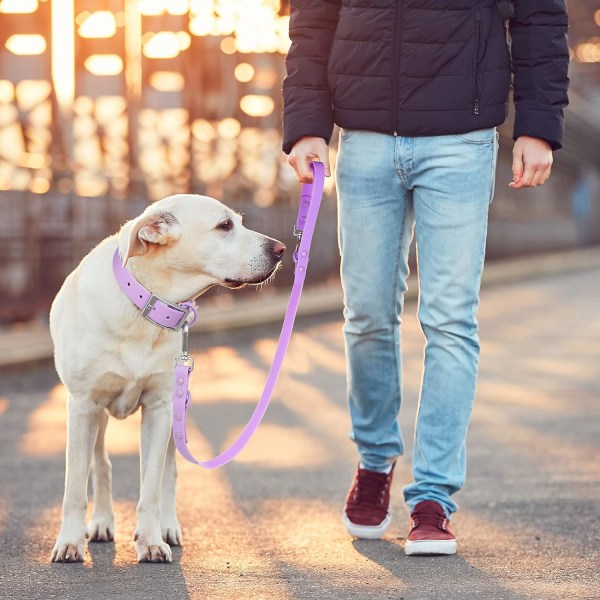 Vattentät hundkoppel: Standard hundkoppel med 2 krokar för promenader, justerbar längd, hållbar och luktfri (S|3/4 tum × 5 fot, Lila)