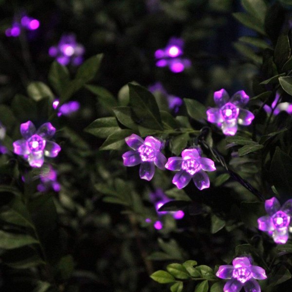 Aurinkokukka-puutarhavalosarja, vedenpitävä 23ft 50LED persikankukka kirsikka aurinko ulko- ja sisätilojen juhliin joulupihan koristevalaistus violetti