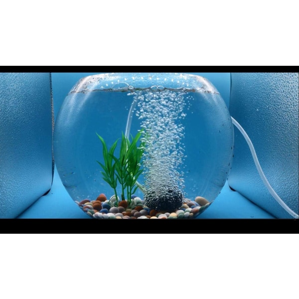 1,6 tums akvarieluftsten Syrgasdiffusor Luftbubblare för akvarium Syresten för akvariet