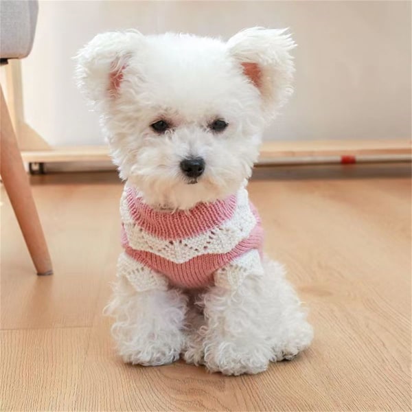Koiran Neuletakki Koiran Huppari Koiran Takki Koiran Pusero Koiran Liivi Pennun Vaatteet Koiran Paita Koiran Asuste Koiran Paita Kissalle Pyjamat Koiran Haalarit XL