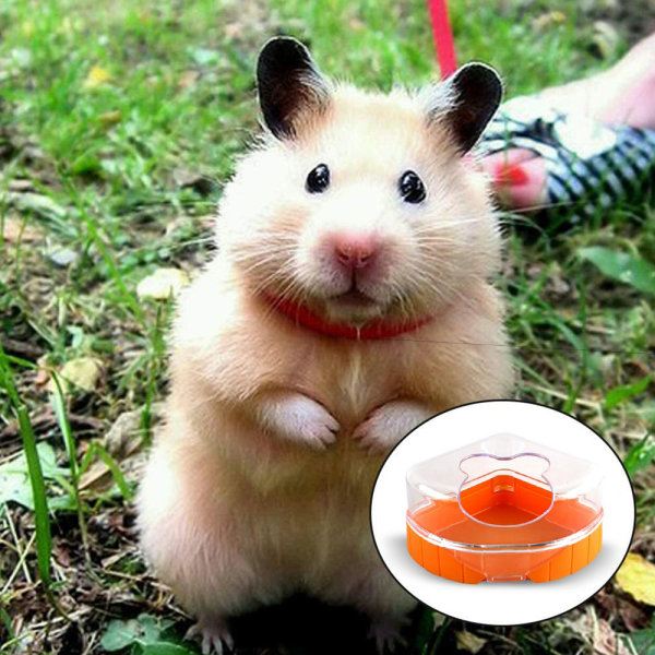 Hamster Sand Badrum Med Spade, Liten Husdjur Sand Badrum Stor Plast Rum Bastu Toalett Badkar-Gul