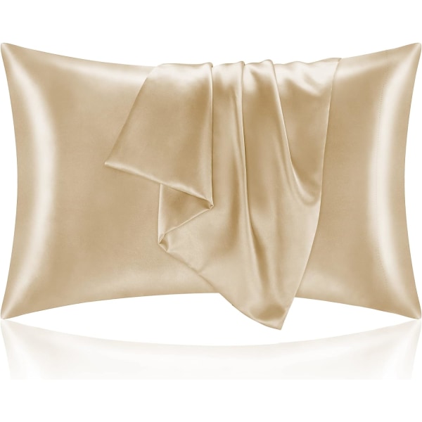 Satin Pillowcase for Hair and Skin, King Pillow Cases Set of 2 Pack, Super Soft Silky Champagne Pillow Case with Envelope Closure (20x26 Inches)