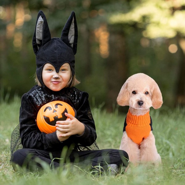 Hundes Halloween Genser Høst Vinter Turtleneck Strikket Varme Valpeklær Antrekk Ferie Morsom Gresskar Kjæledyrkostymer for Små (L, Svart + Oransje)