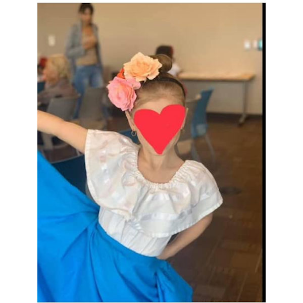 12 stk. elegante store rosenblomst hårklemmer hårnåle blomsterbrocher pin boho hårklemme rosenhårtilbehør til kvinder piger dame brude