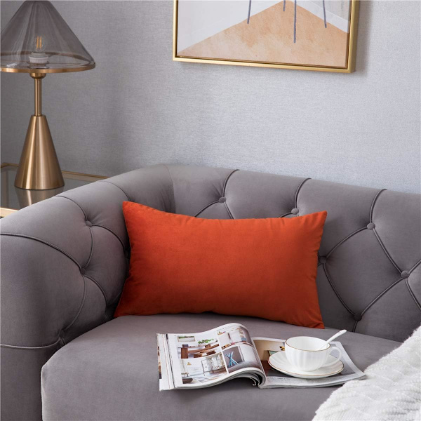 Soffa Kuddfodral 12x20 Bränd Orange: 2-pack Mysig Mjuk Sammet Rektangulära Kuddfodral för Lanthus Dekoration, IFENG