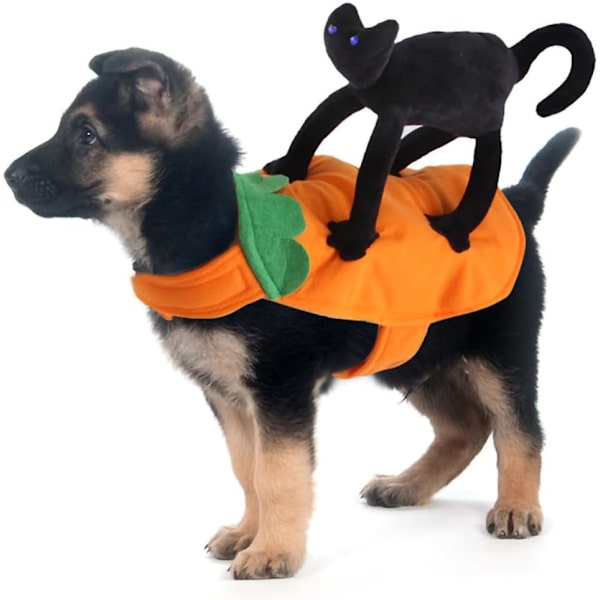 Katt Halloween Kostym Hund Halloween Kostym Husdjur Bär Pumpa Kläder med Cartoon Svart Katt Hund Varm Rockvalp Festival Outfits (Medium)