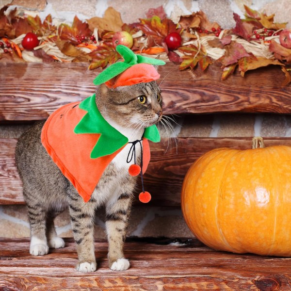 Halloween Kattdräkt Katt Halloween Pumpkin Cape Hat Set Pet Cat Halloween Costume (M Pumpkin)
