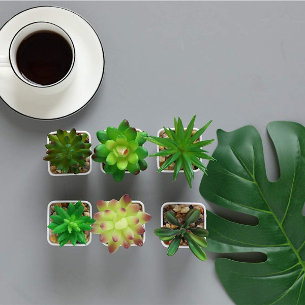 Mini kunstige sukkulenter planter kunstige plastik potte sukkulenter sortiment planter til hjemmekontor borddekoration, sæt med 6