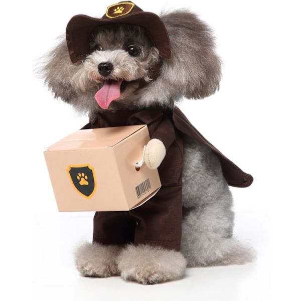 Koiran Halloween-asu - Spooktacular Cosplay-asu pienille ja keskisuurille koirille ja kissoille, mukaan lukien hattu - Vaatteet Halloween-juhliin (Mail Carrier Brown, M)