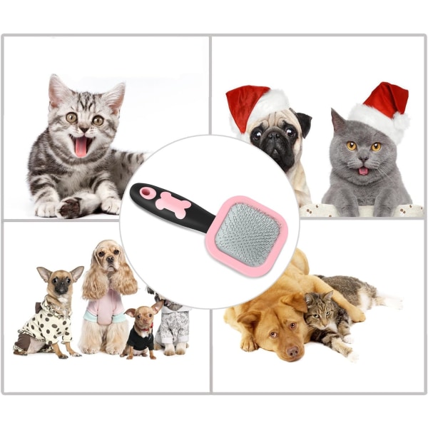 Hund- och kattborstar - Träningsborstar för husdjur - Hårborttagnings- och skötselverktyg - Rosa